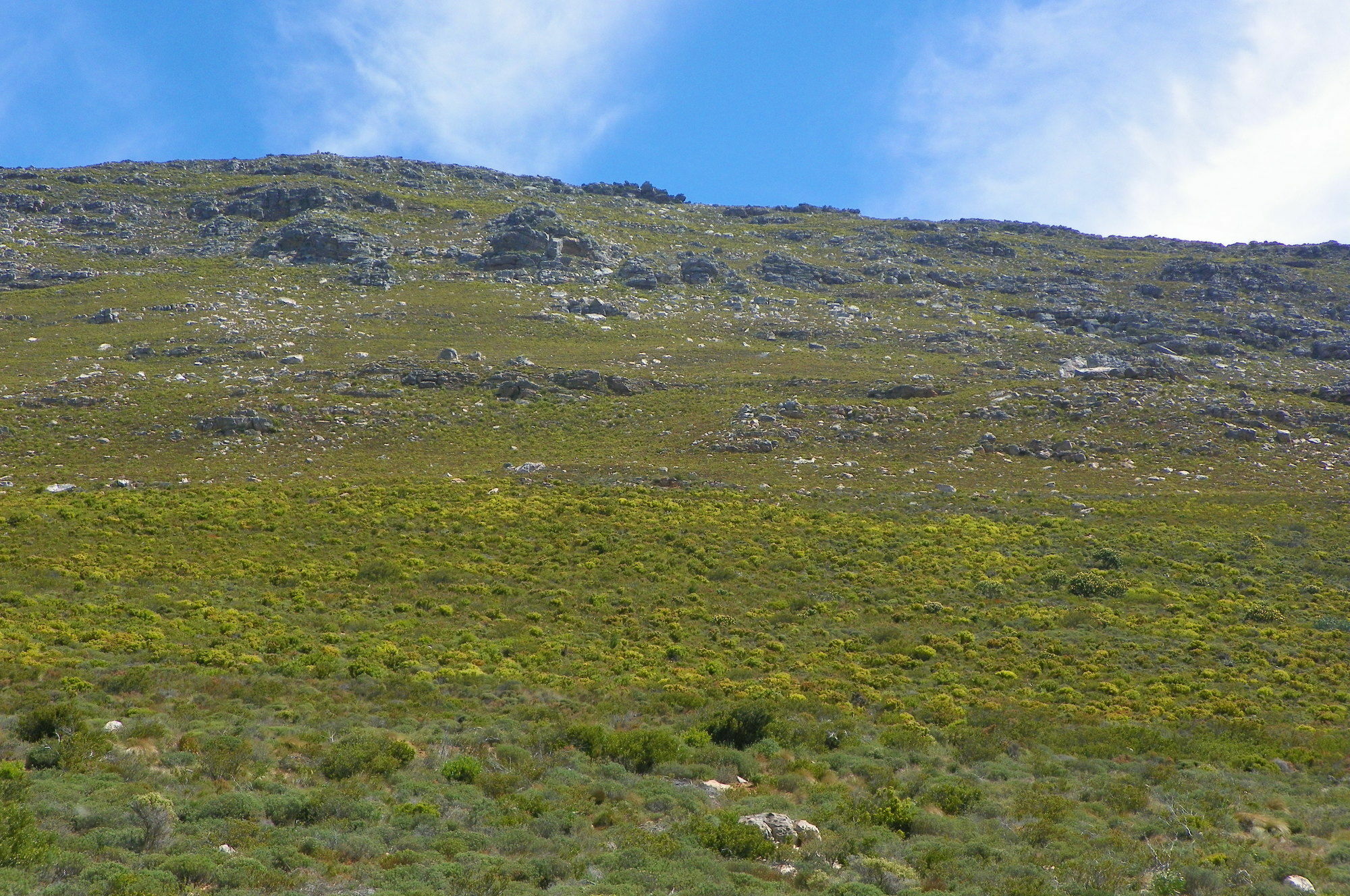 Magellan's Passage Guest house Cape Town